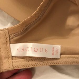 Cacique Intimates & Sleepwear - New Lightly Lined No Wire T-Shirt Bra 38DDD Cacique Intimates & Sleepwear - New Lightly Lined No Wire T-Shirt Bra 38DDD